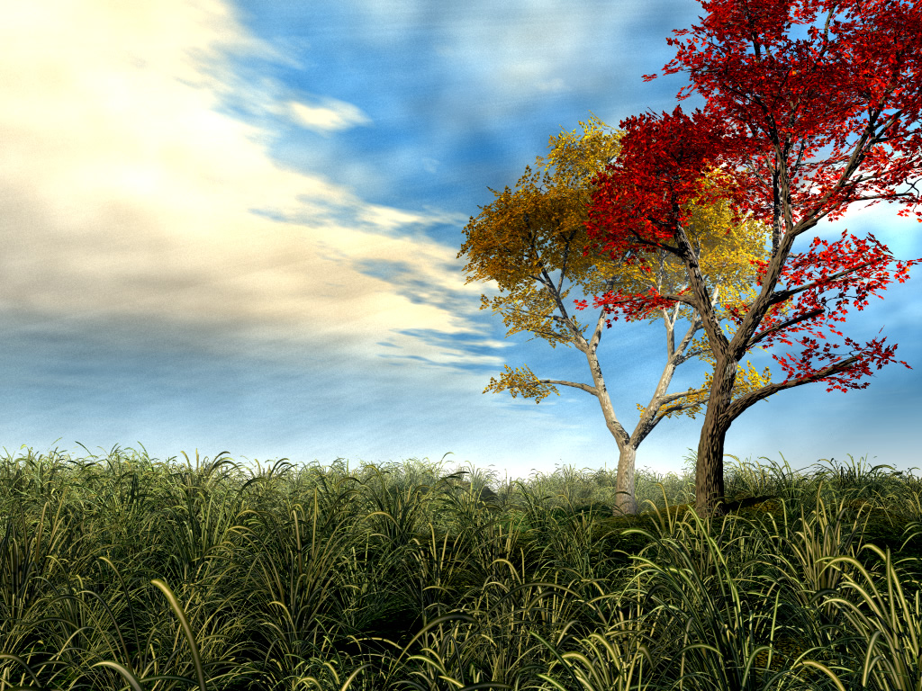 Paysage 3D