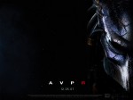 Fond d'écran Aliens vs. Predator Requiem