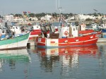 bateaux de peche