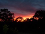 sunset