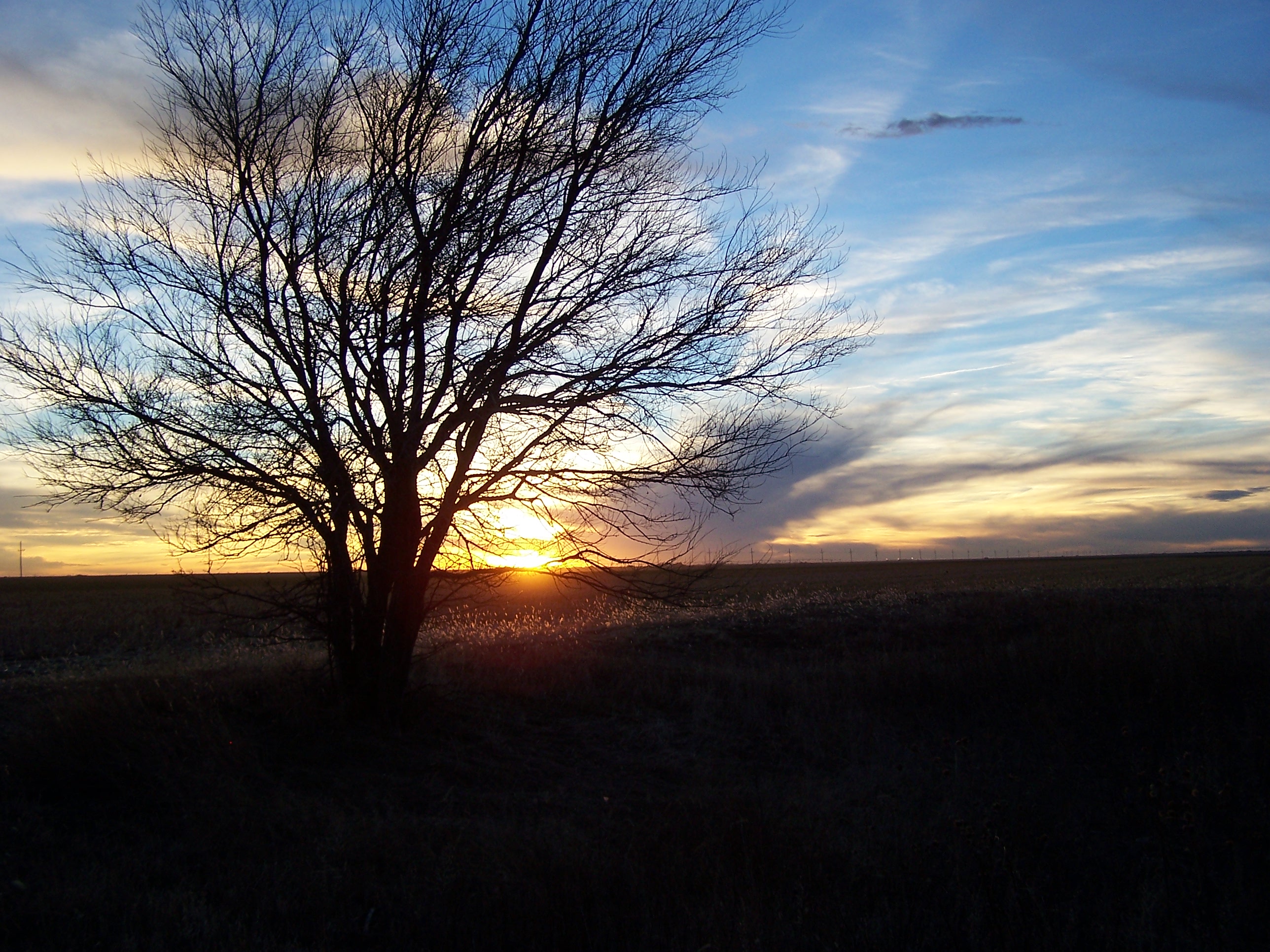 sunset