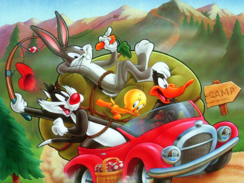 Looney toons
