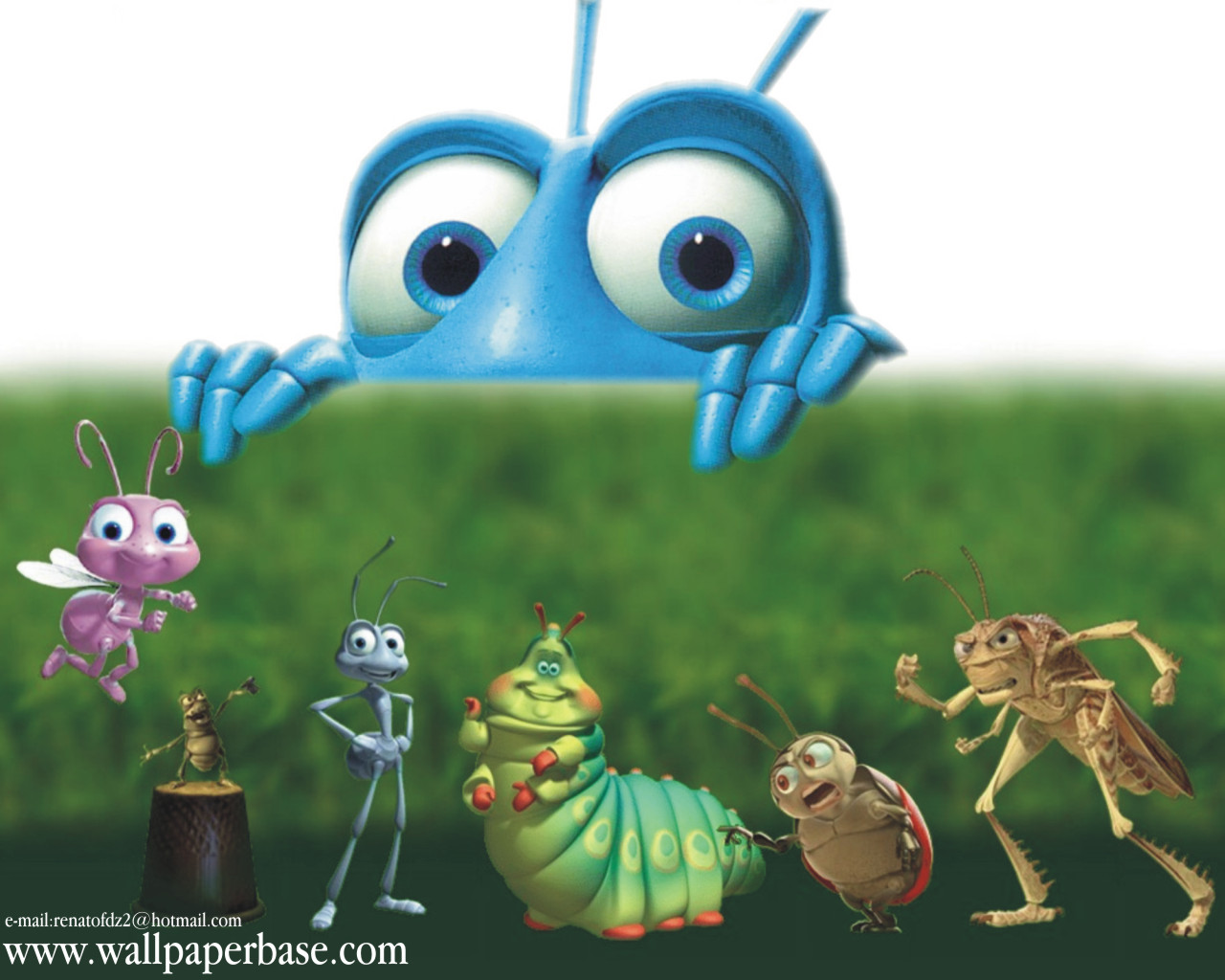 A Bug's Life