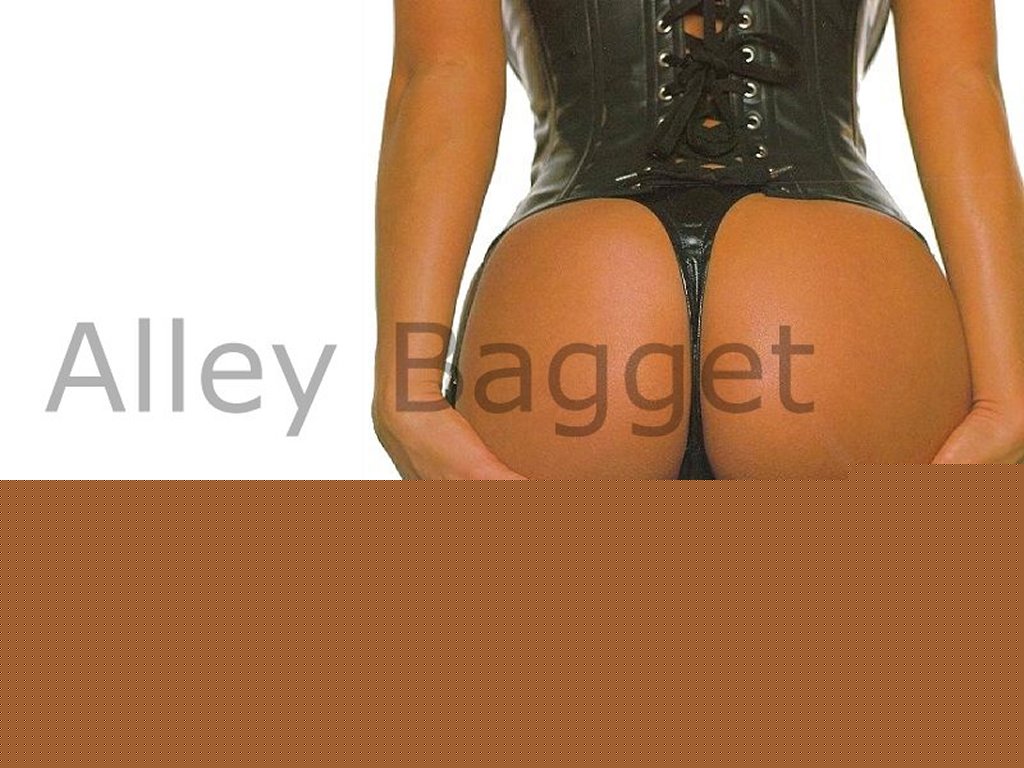 Alley Bagett
