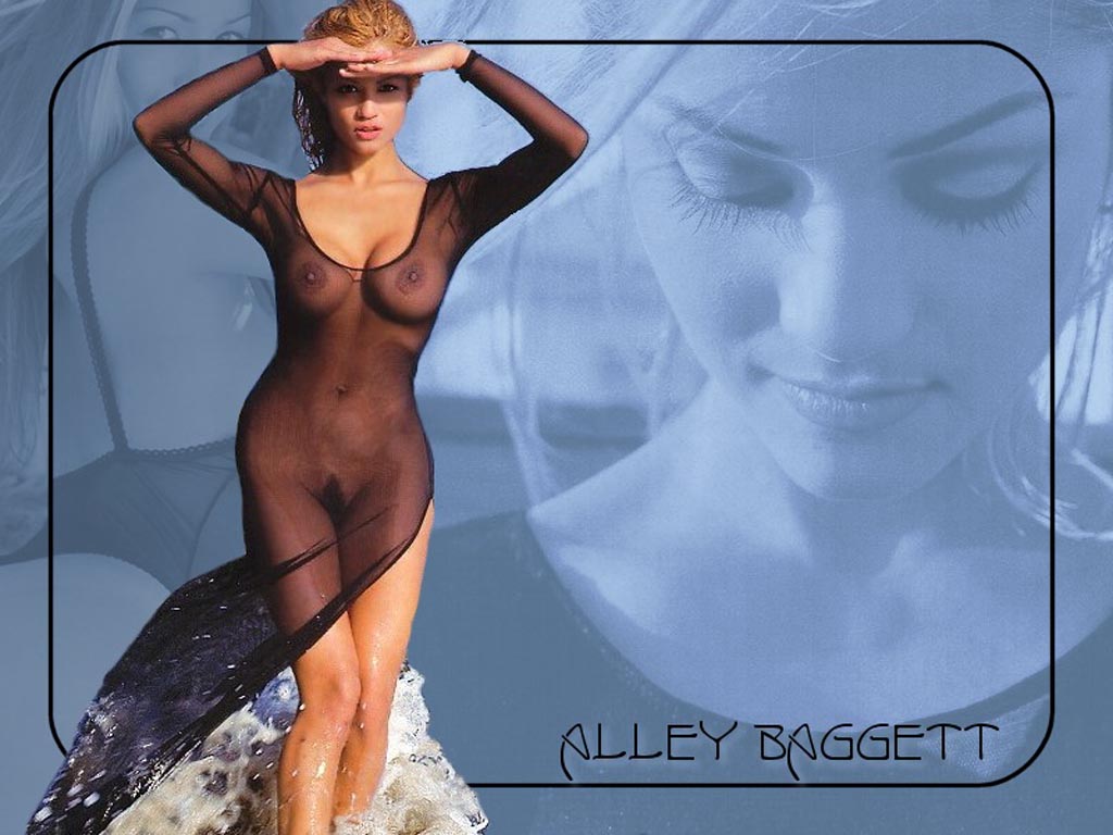 Alley Bagett