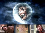 American Werewolf