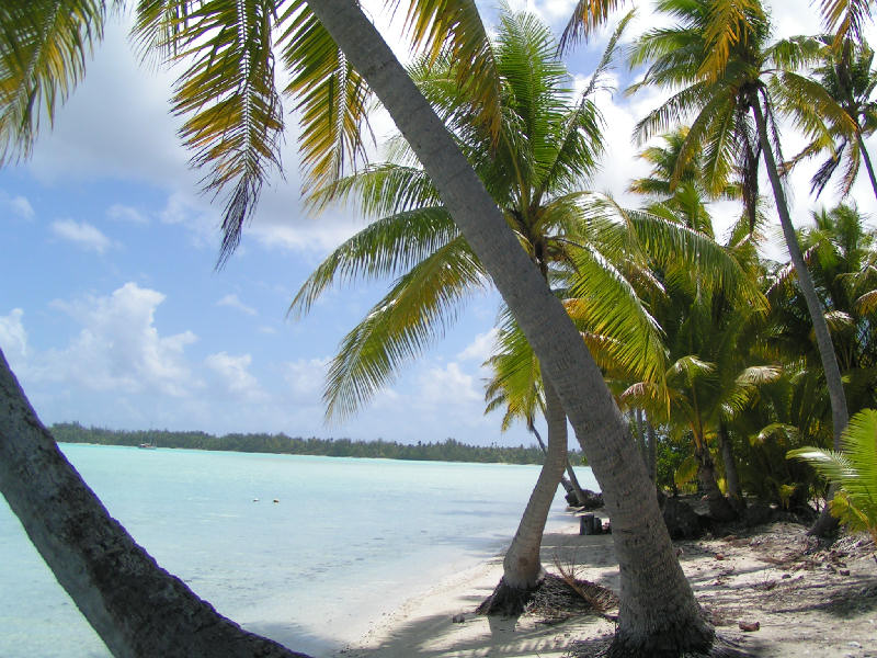 Beach and sea