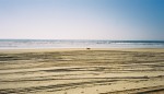 Beach and sea