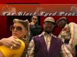 Black Eyed Peas