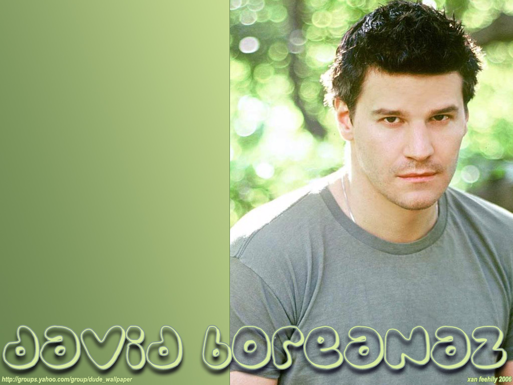 David Boreanaz