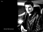 David Boreanaz