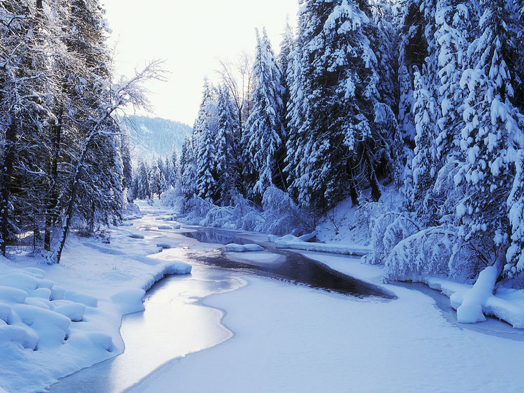 Nature Scenery Paysage Neige Hiver