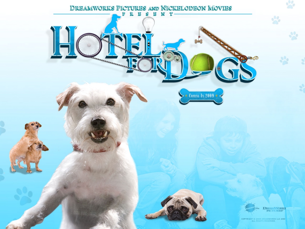 hotel pour chiens