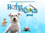 hotel pour chiens