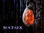 Matrix