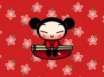 Pucca