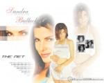 Sandra Bullock