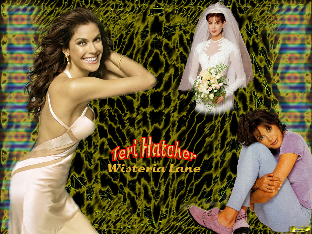 Teri Hatcher wallpaper