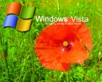 windows vista